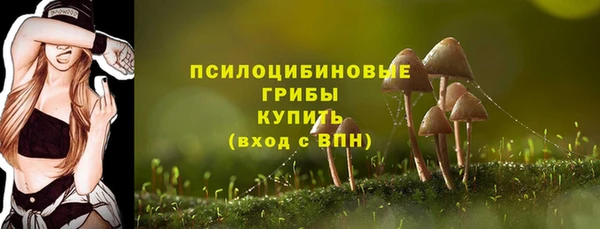 дурь Алексеевка
