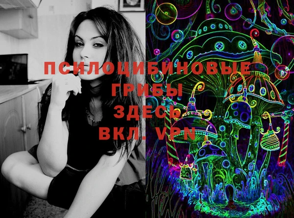 дурь Алексеевка